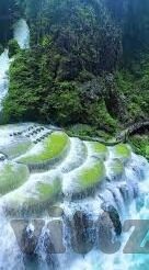 91视频chinese麻豆-