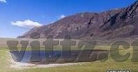 大象传媒 米欧-探索大象传媒与米欧的创意融合，构建品牌新纪元