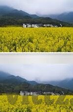 果冻传媒好看的女主-探索果冻传媒中那些令人难忘的美丽女主