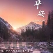 果冻传媒何苗视频-探索果冻传媒何苗视频，创意与艺术的完美融合