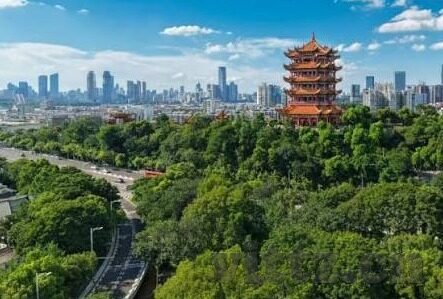国内精品一区二区-国内精品一区二区，文化与艺术的璀璨双星