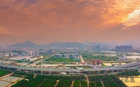 麻d传媒2022国产大象-麻d传媒2022国产大象，探索国产影视的多元化与文化自信