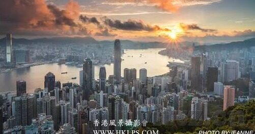 麻豆视频老师-麻豆视频，网络教学的新风向与挑战