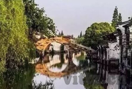 云麻豆app-探析云麻豆app的赋能与影响力，景深、用户行为、以及趋势分析